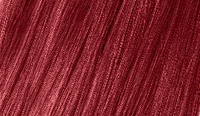 22 CLARET / bordo