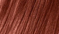 54 GOLDEN CHESTNUT / złoty kasztan