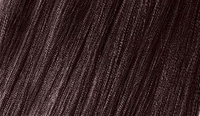 06 DARK CHESTNUT / ciemny kasztan