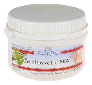 Żel z Boswellią i MSM 350g FARM-VIX