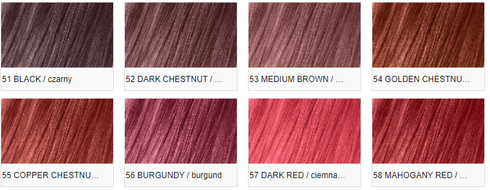 Szampon koloryzujący SANOTINT REFLEX