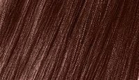 14 DARK BLONDE / ciemny blond