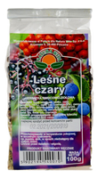 Herbatka Leśne czary 100g NATURA WITA