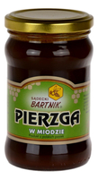 Pierzga w miodzie 400g BARTNIK