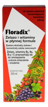FLORADIX Żelazo i witaminy (Tonik) 250ml